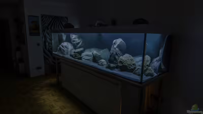 Becken nach Erstbefüllung, erstes Groblayout mit Modulen und einem Teil des Basalts von ClioB (7)