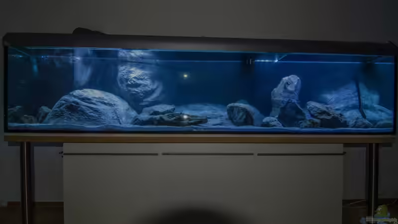 Becken nach Erstbefüllung, erstes Groblayout mit Modulen und einem Teil des Basalts von ClioB (8)