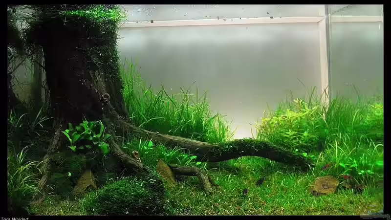 Becken nach fast einem Jahr von niva (16)