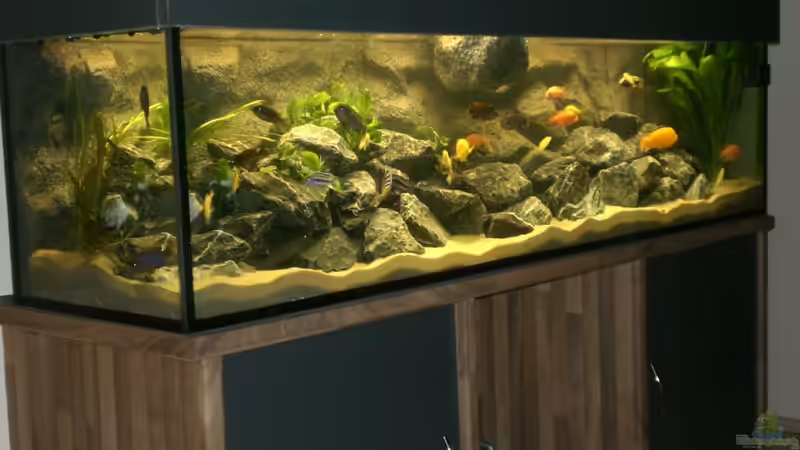 Becken nach Fertigstellung  04/2010