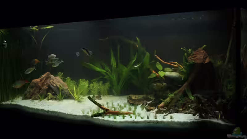 Becken nach Umbau 2 von David B (16)