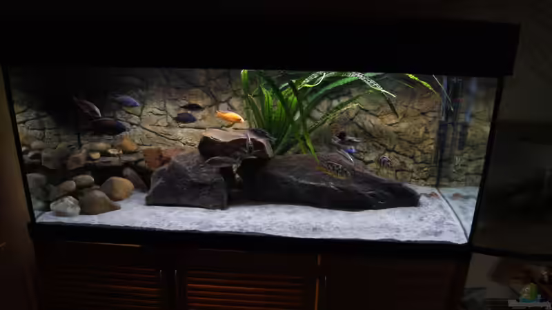 Becken nach umbau auf LED von Sascha G. (5)