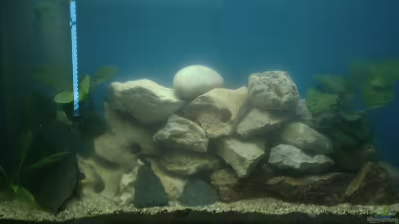 Becken nach Umgestaltung von Bas-ti (1)