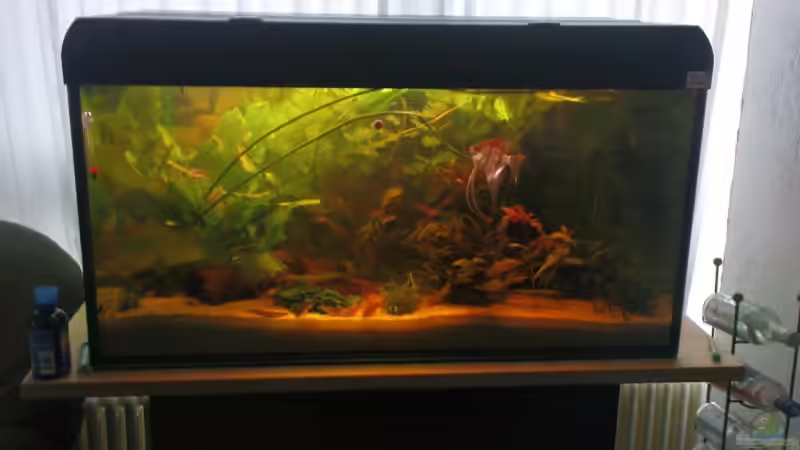 Becken nach vier Wochen von Maria Dicke (13)