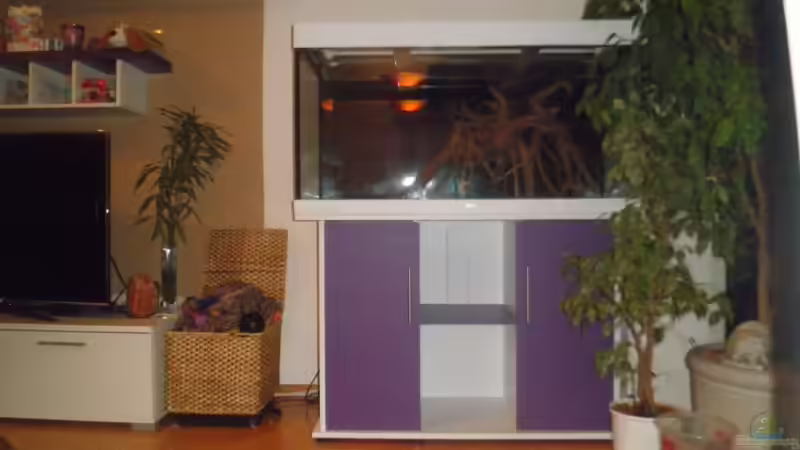 Becken neu foliert von Mario_83 (3)