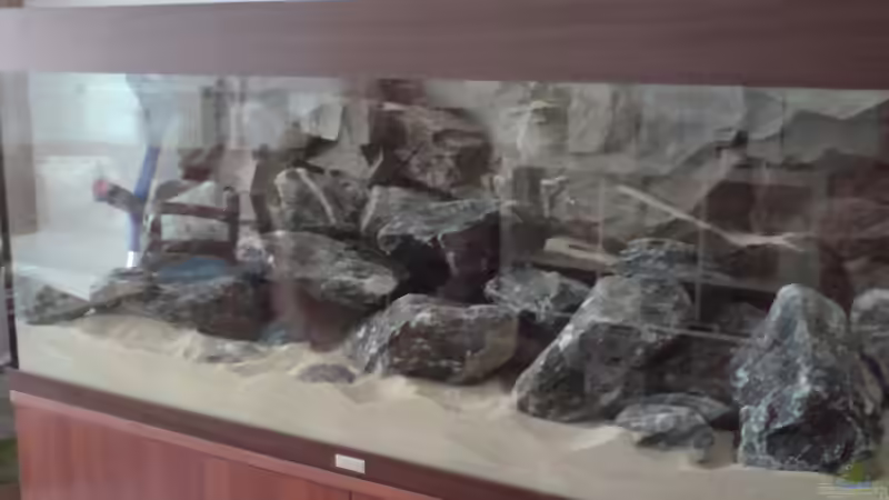 Becken noch ohne Inhalt, jedoch schon mit Steinen von FinalDragon (10)