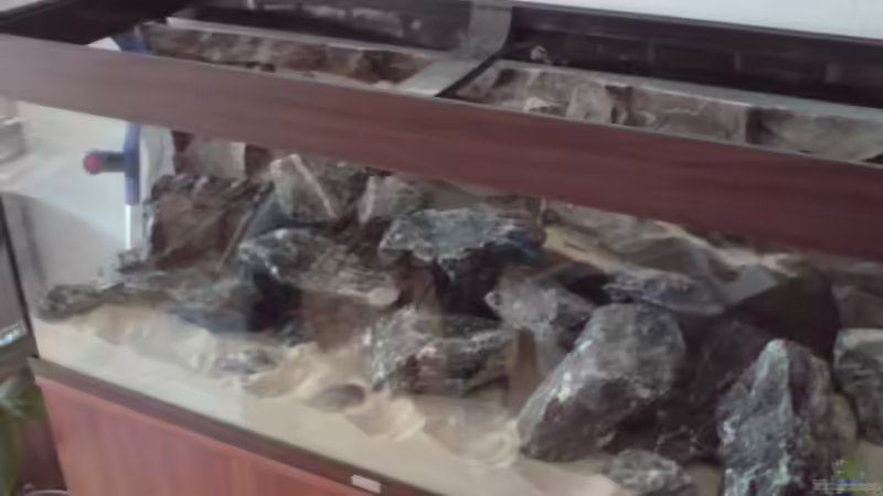 Becken noch ohne Inhalt, jedoch schon mit Steinen von FinalDragon (11)