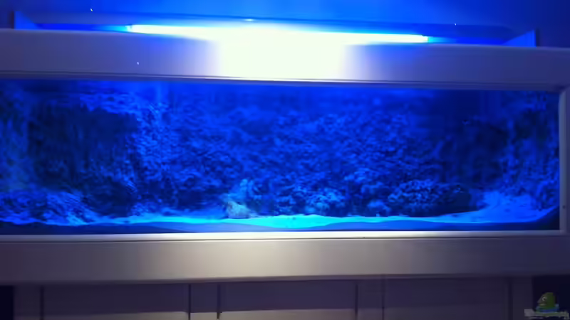 Becken nur mit t5 beleuchtet  von Thomas Schuster (8)