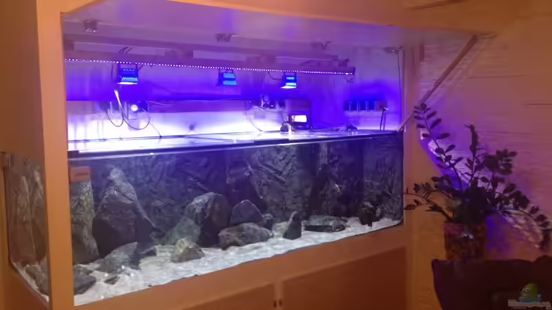 Becken offen, Sicht auf Beleuchtung von Wimmer Jürgen (7)