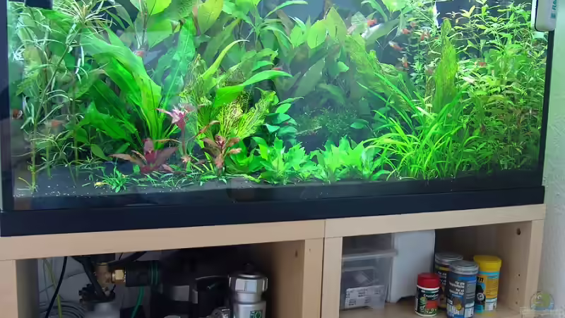 Becken ohne Blende vor der Technik von Stefan S. (2)