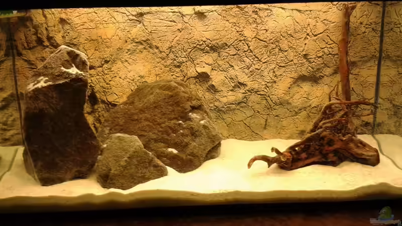 Becken ohne Pflanzen  von Heiko Bertsch (7)