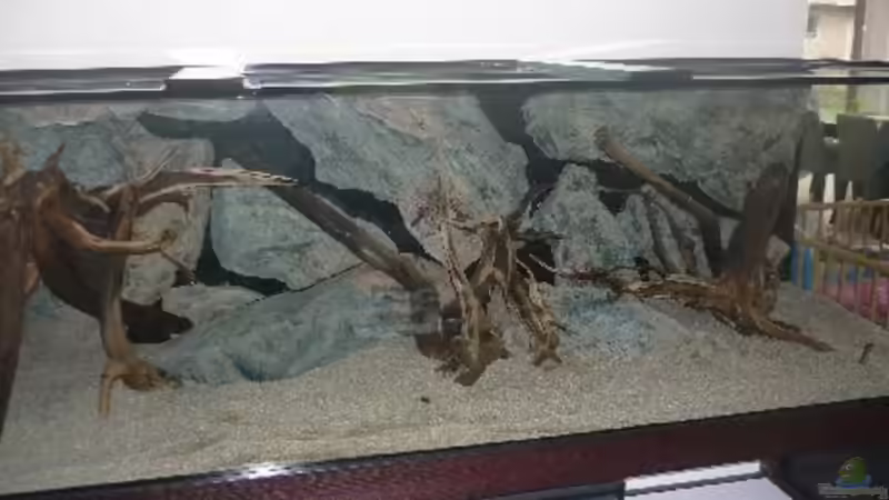 Becken ohne Wasser von Crenii (21)