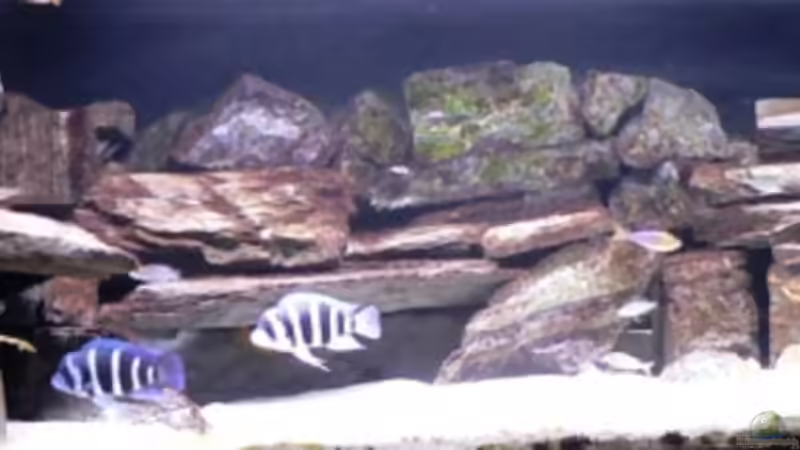 Becken pur von Baeltes (5)