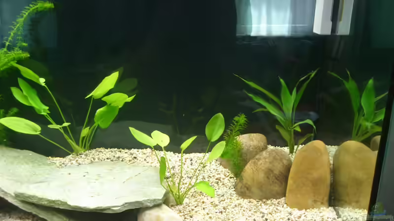 Becken rechte Seite von Christian Kleinhenz (4)