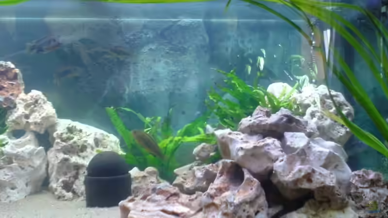 Becken rechte Seite von Conny Stähr & Marcus Schnieders (3)