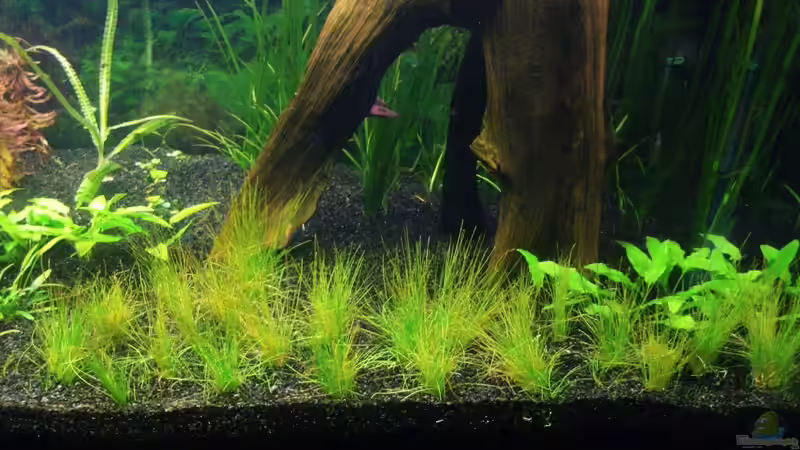 Becken rechts   12.01.2013 von Sebastian L. (6)