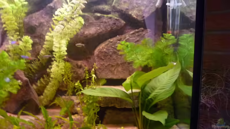 Becken Rechts  26.10.2013 von Jan H. (13)