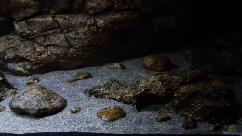 Becken rechts 02.11.2014 von DER YBBSTALER (28)