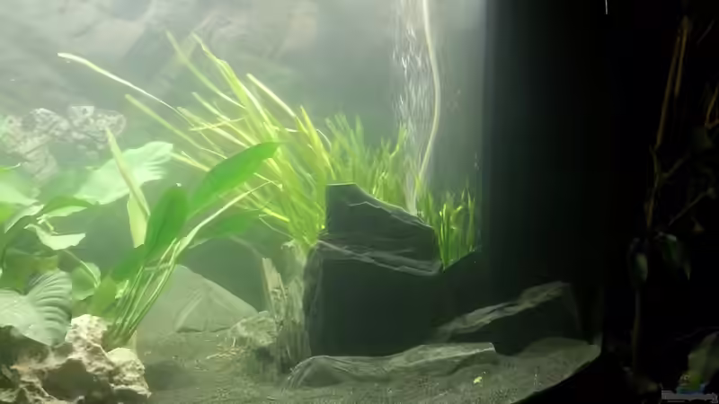 Becken rechts 02.12.2012 von Volker (10)