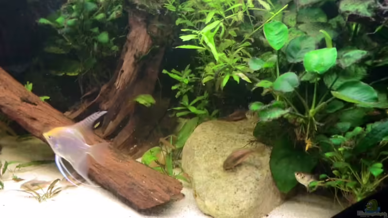 Becken rechts 1 von Morten (6)