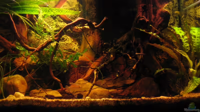 Becken rechts 13.03.12 von Alex S (5)