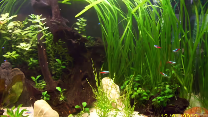 Becken recht´s vor dem Umbau von kaktus-jones (7)