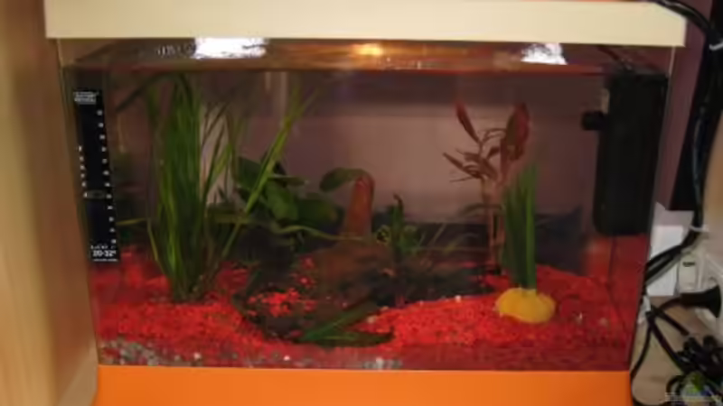 Becken Rückfront (gerade Seite) von Jens Kaufmann (3)