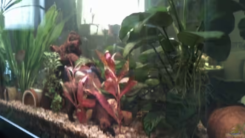 Becken Rückseite von schräg rechts,neues Bild von mikael38 (7)