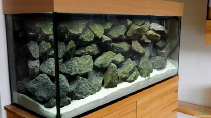 Becken schräg von vorne links von Felsenjunkie (4)