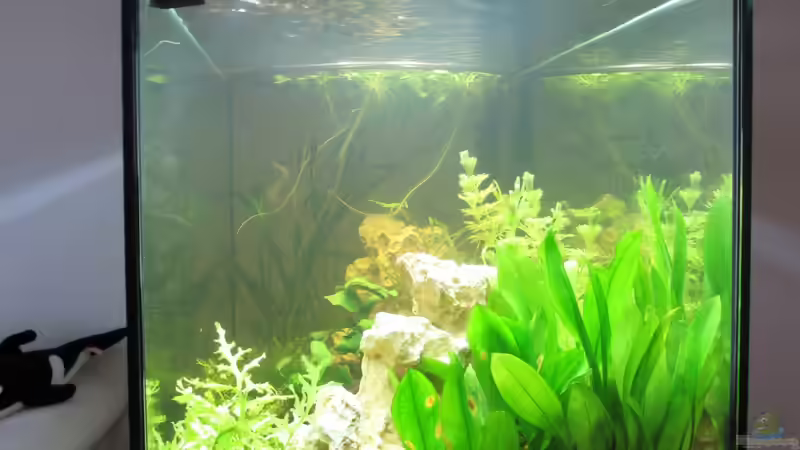 Becken Seite von Frank H. (3)