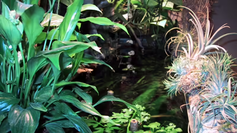 Becken seitlich über dem Wasserspiegel von Der Südamerikaner (27)