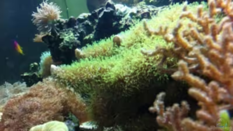 Becken seitlich von rechts von DaHeit1982 (3)