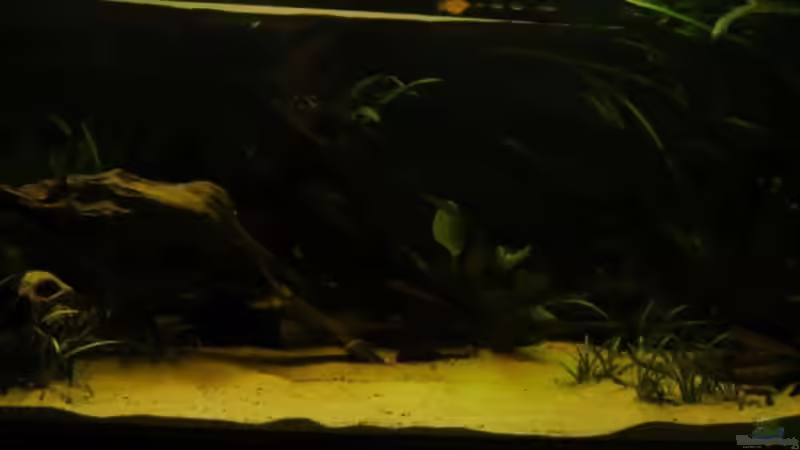 Becken sonnenuntergang von lumpi (11)