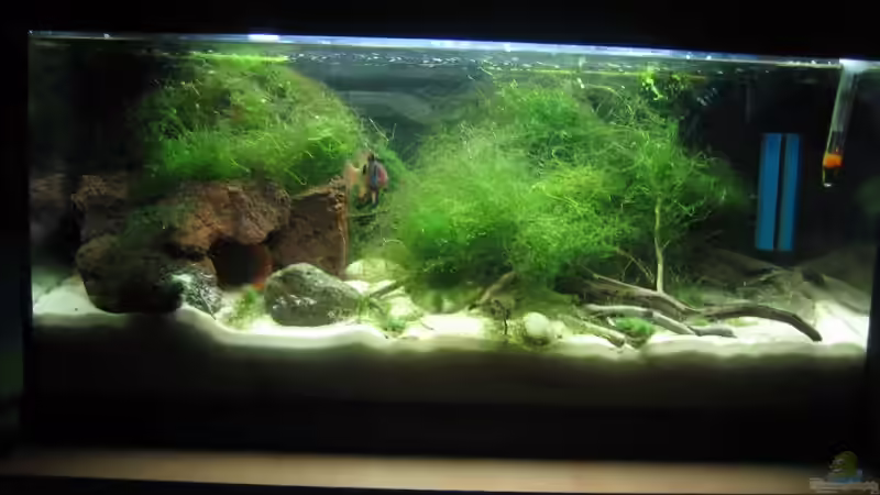 Becken stand 01.03.09