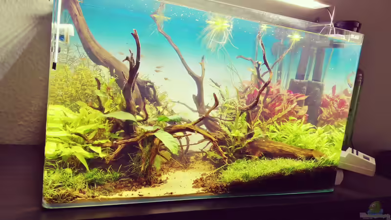 Becken Stand 09.06.2020 von Sarah_Schneider (9)