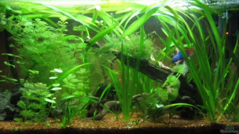 Becken Stand 11.03.09