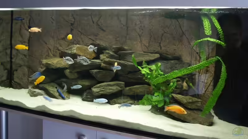 Becken Stand Sept.2010 von Branjo (6)