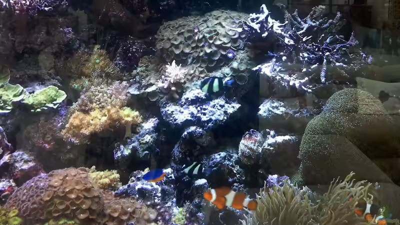 Becken Teil 4 von Martinerft (12)