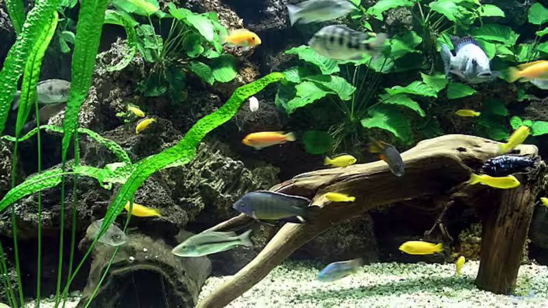 Becken Teilansicht von Bernd Niehoff (2)