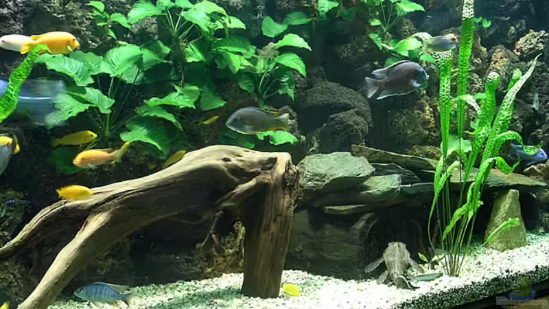 Becken Teilansicht von Bernd Niehoff (3)