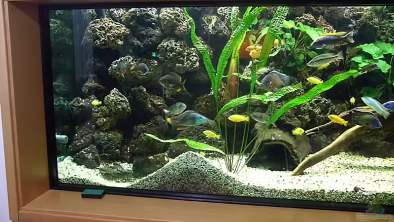 Becken Teilansicht von Bernd Niehoff (4)