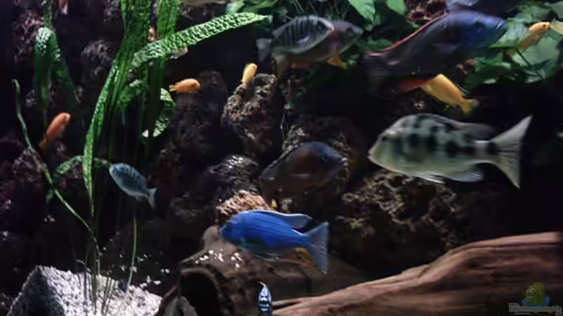 Becken Teilansicht von Bernd Niehoff (5)