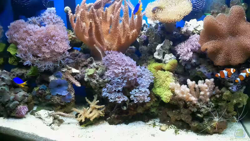 Becken vom 16.01.2012 von Andreas Fleischer (7)