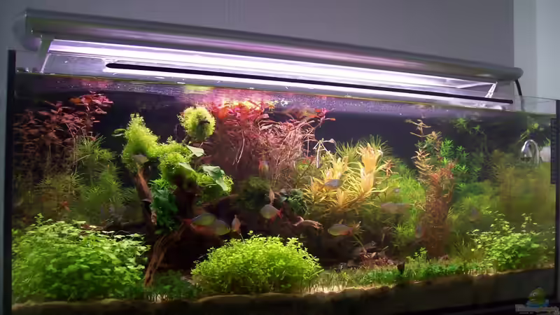 Becken vom 27.08.2013  von Lotte und Hendo (15)