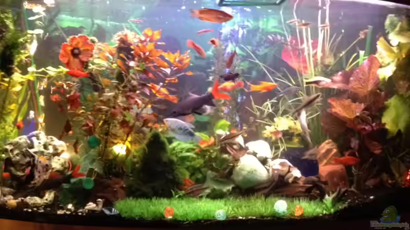 Becken von Achim von Achim Jaru