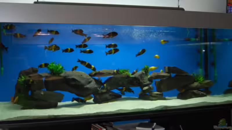 Becken von Andre Klettke (1)