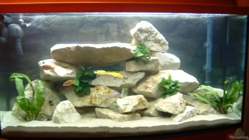 Becken von Andreas Gassner (1)