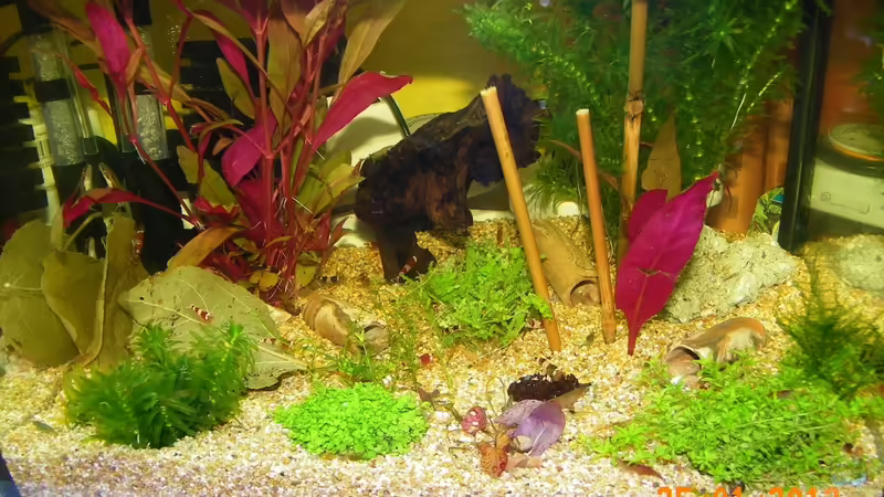 Becken von Bienchen1976 (3)