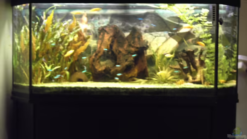 Becken von Christian Horn (1) (4)