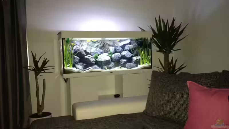 Becken von der Couch aus von Vin (5)